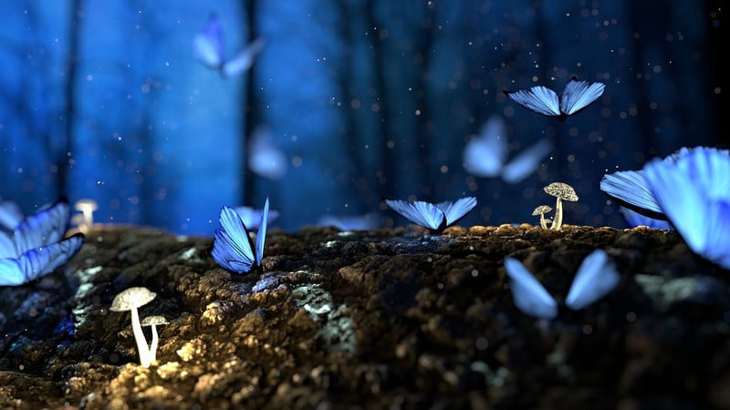 Enchanted Realm