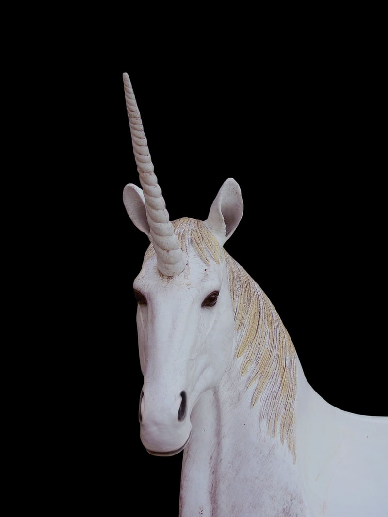 Unicorn Watering
